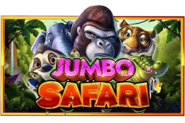 fill777 Philippines players enjoying sports and casino entertainment on mobile